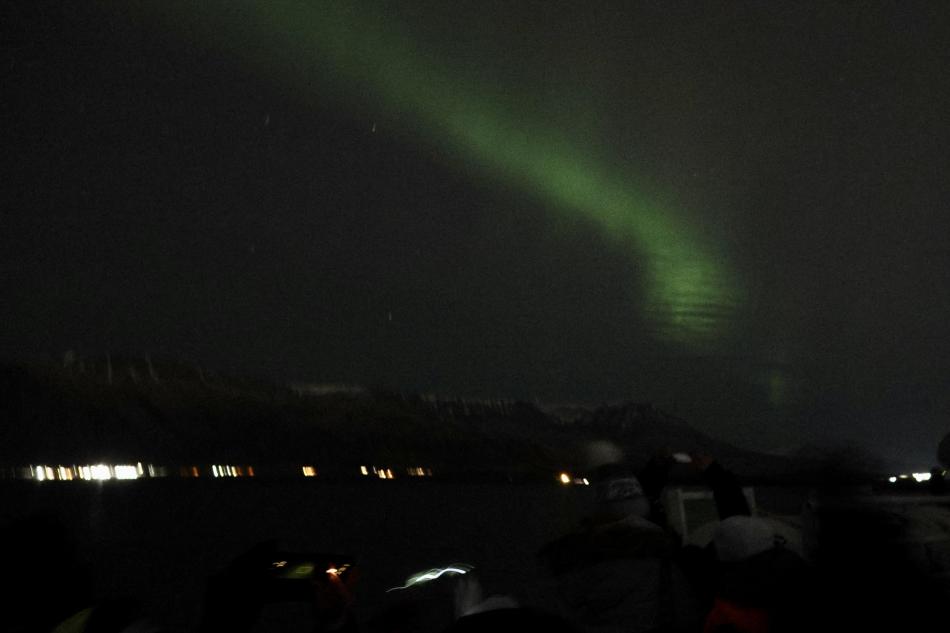northern lights cruise
