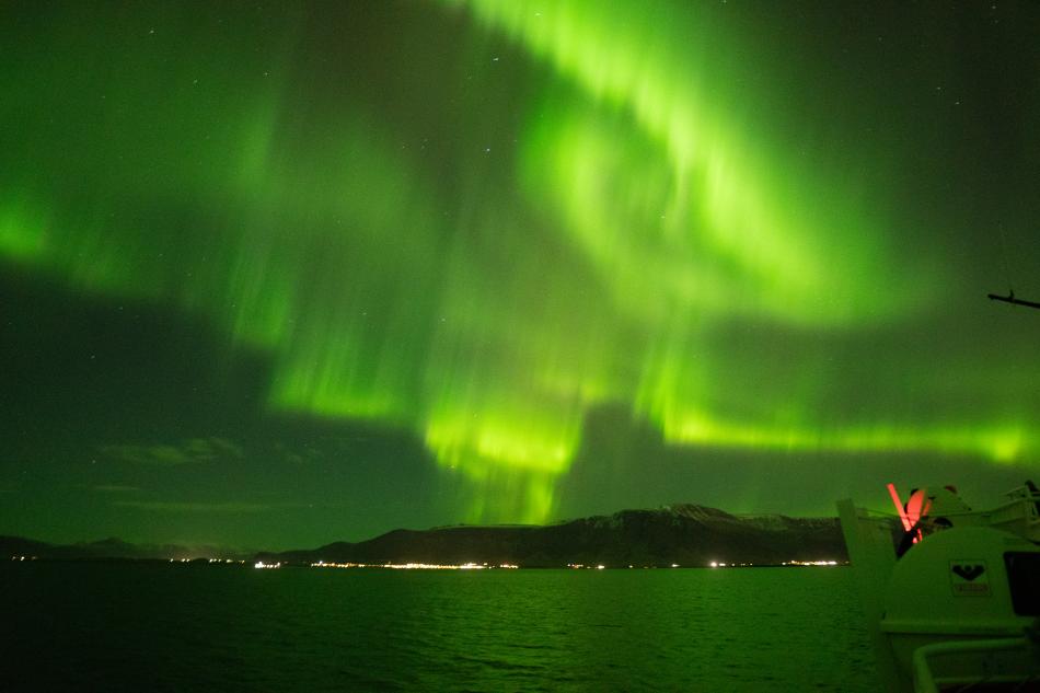 northern lights cruise