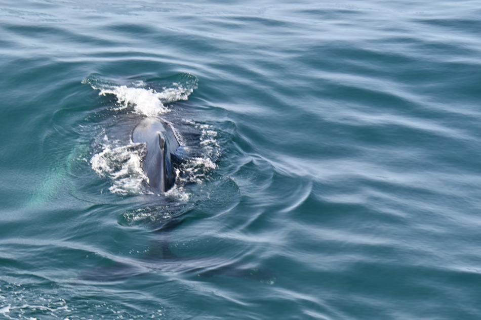 WW 18th April 
