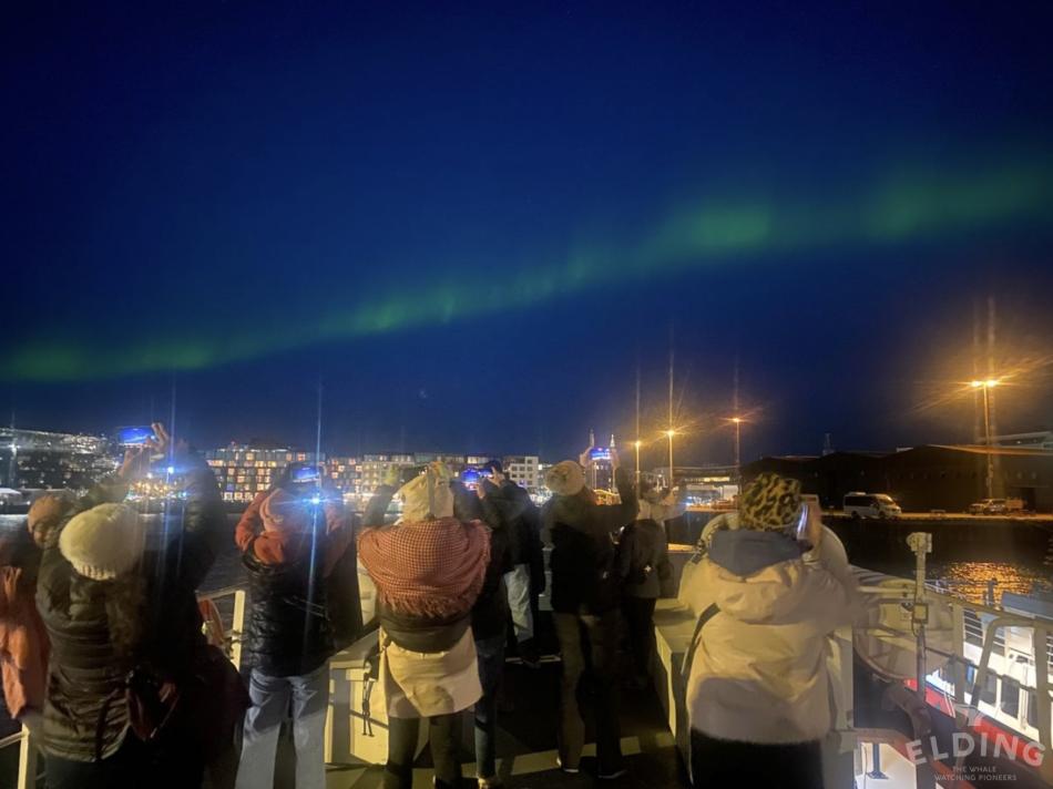 northern lights cruise